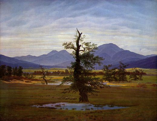 Caspar David Friedrich: Einsamer Baum (Dorflandschaft bei Morgenbeleuchtung, Harzlandschaft)