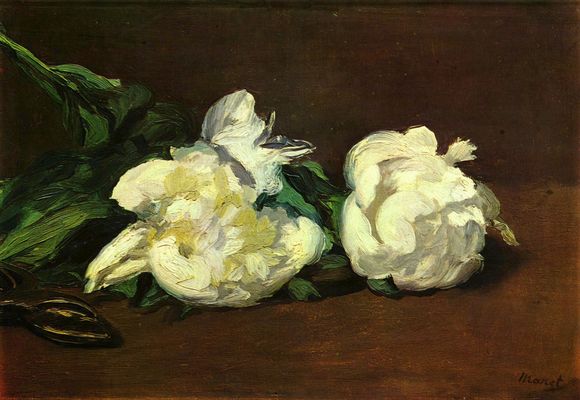Edouard Manet: Stilleben, Weie Pfingstrosen
