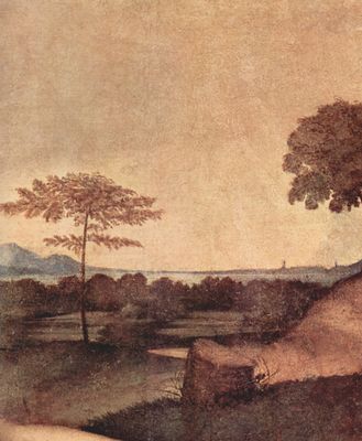 Giorgione: Schlummernde Venus, Detail