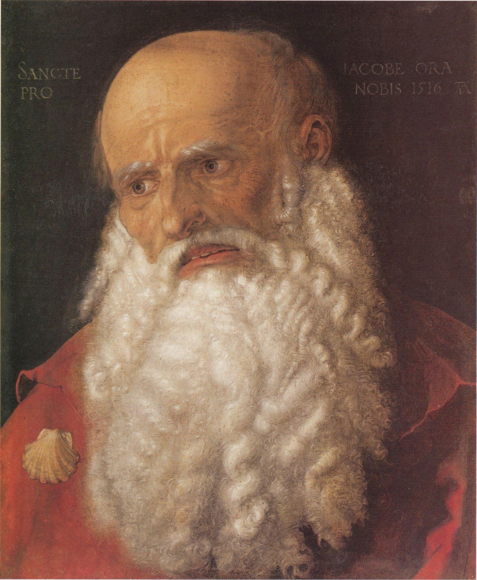 Albrecht Drer: Apostel Jakobus