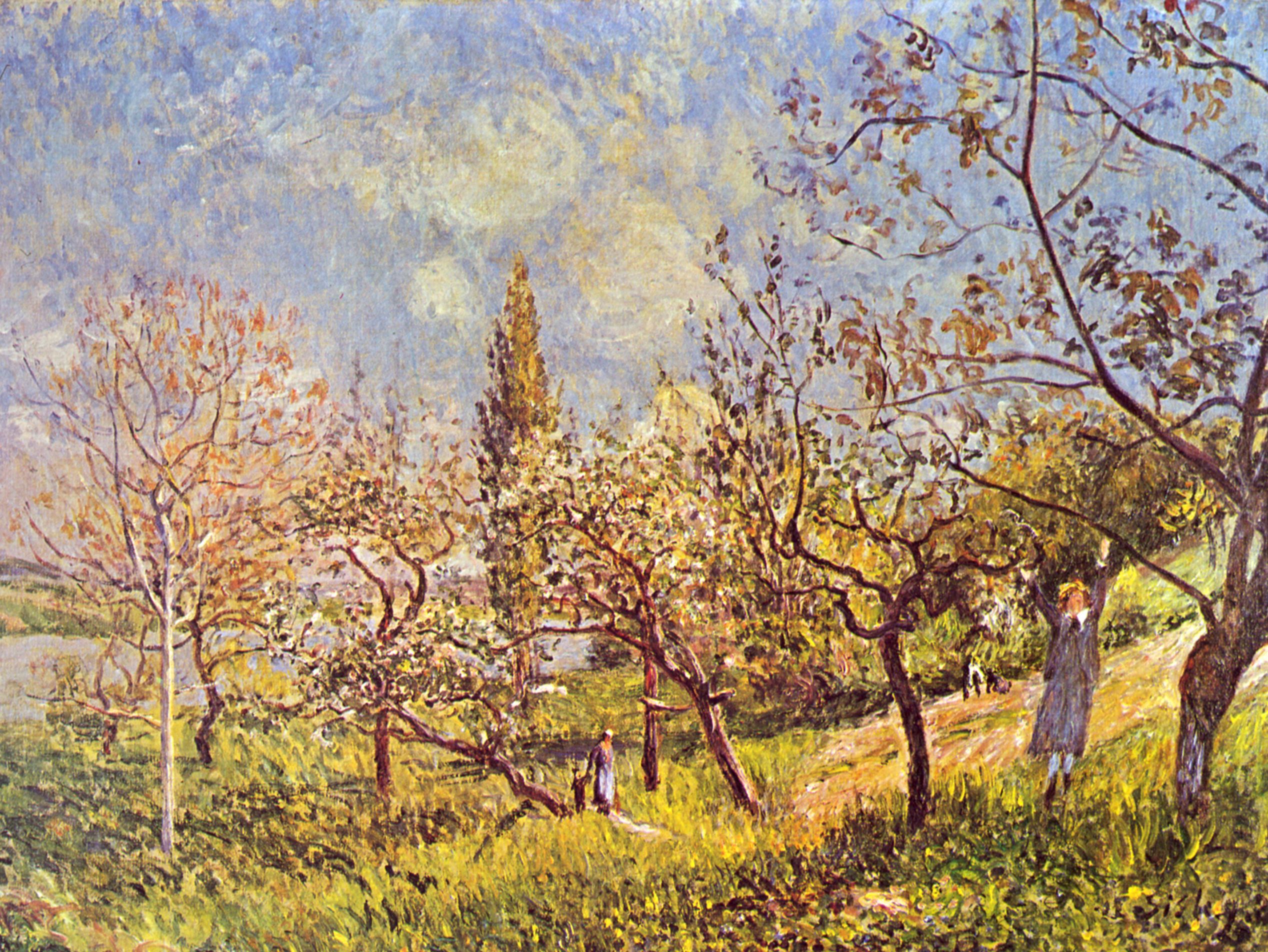 Alfred Sisley: Obstgarten im Frhling