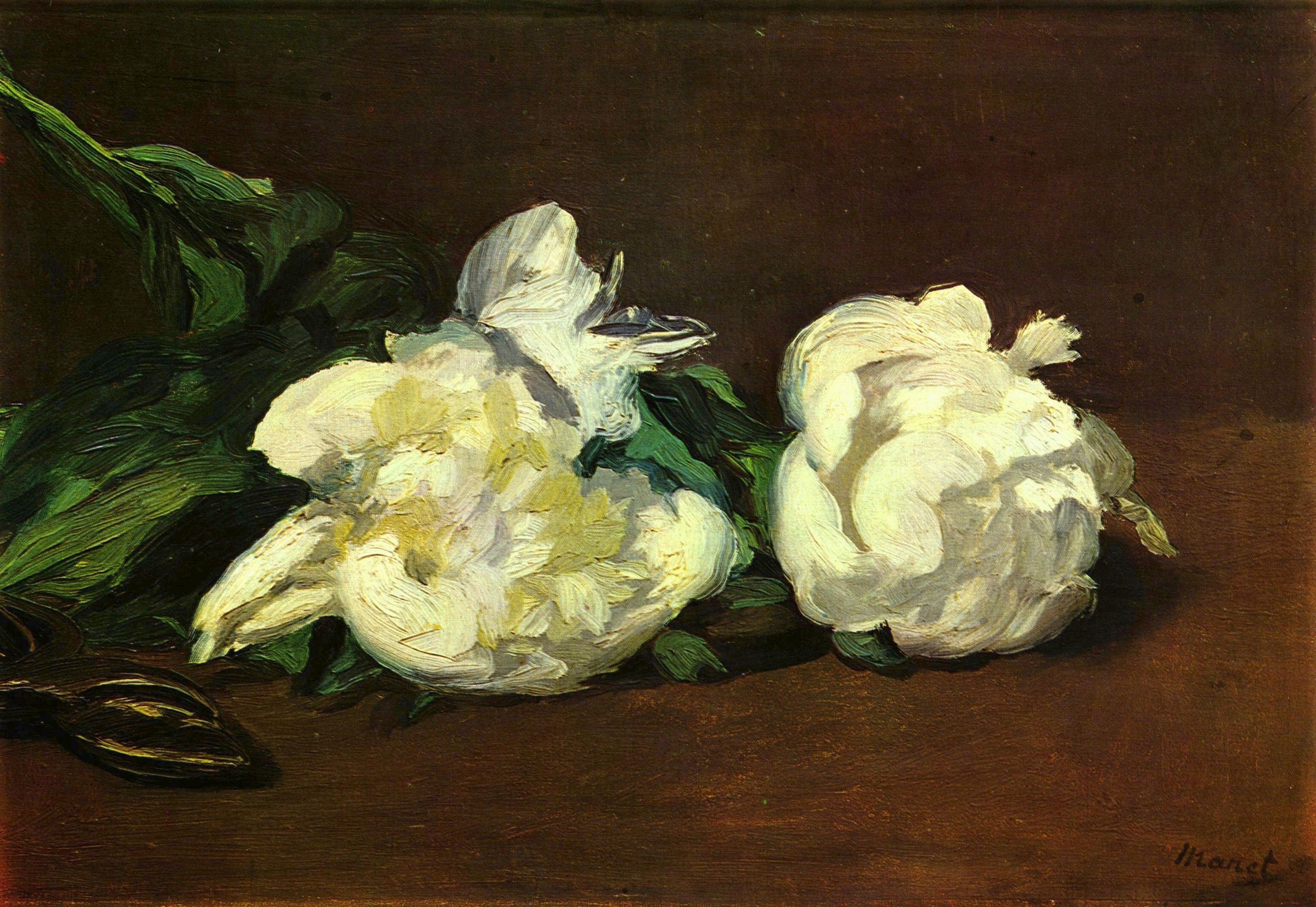 Edouard Manet: Stilleben, Weie Pfingstrosen