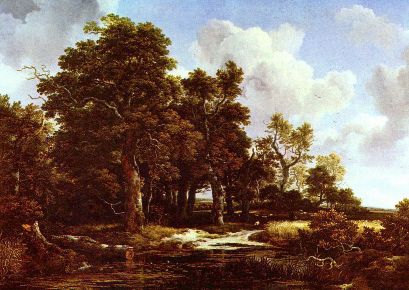 Jacob Isaaksz. van Ruisdael: Waldlandschaft