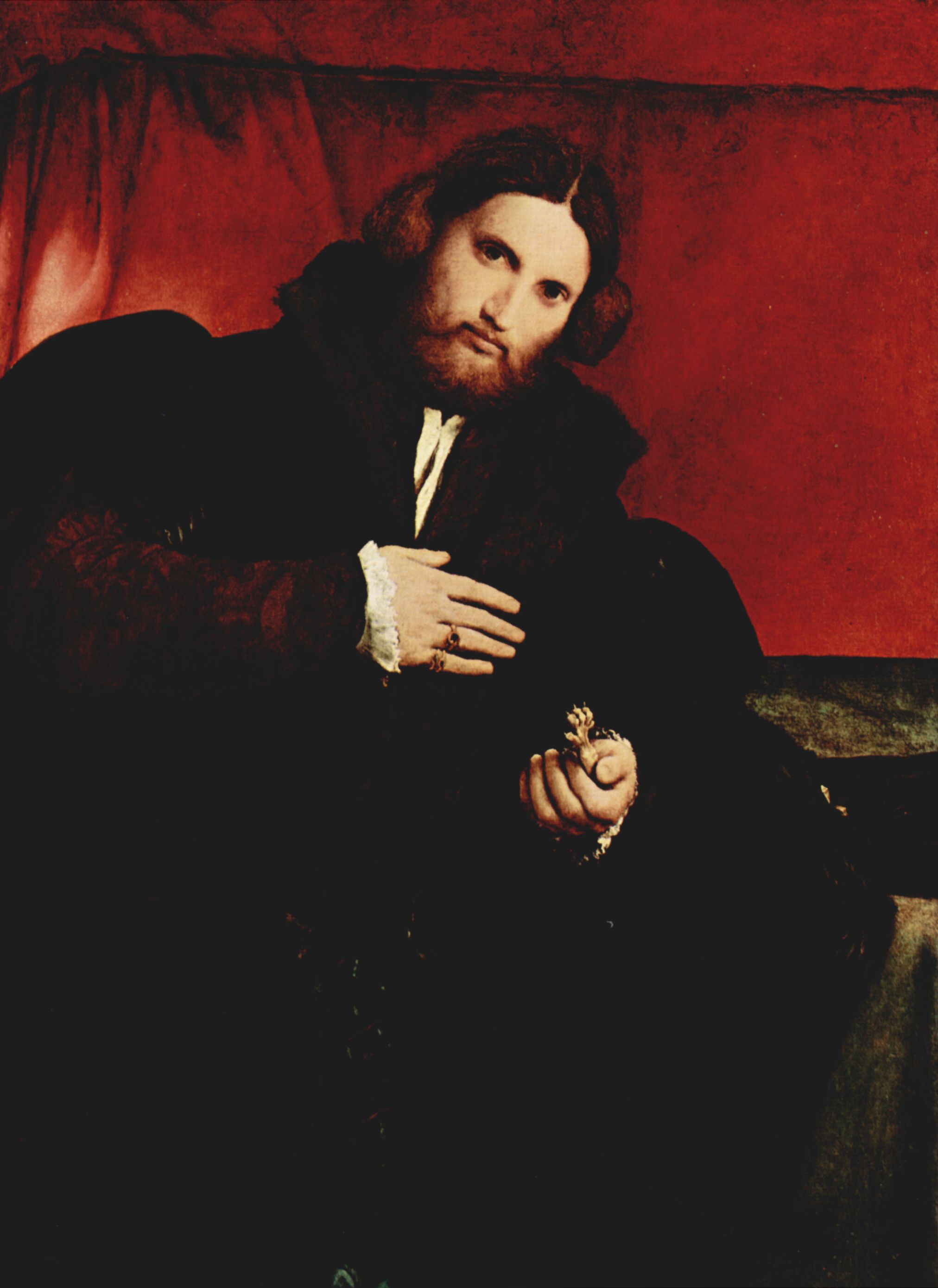 Lorenzo Lotto: Portrt eines Edelmannes mit Lwentatze
