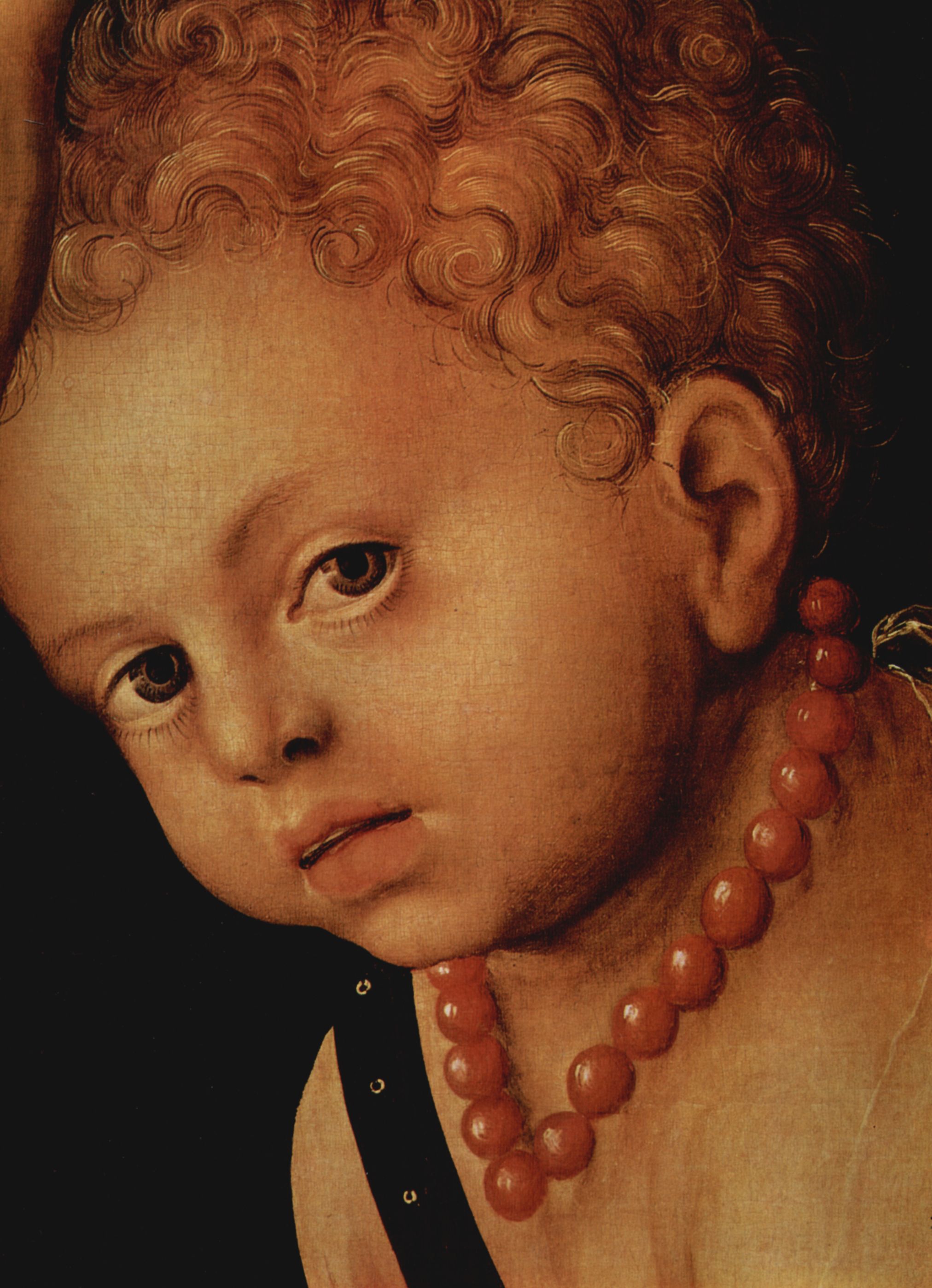 Lucas Cranach d. .: Venus und Amor, Detail: Kopf des Amor