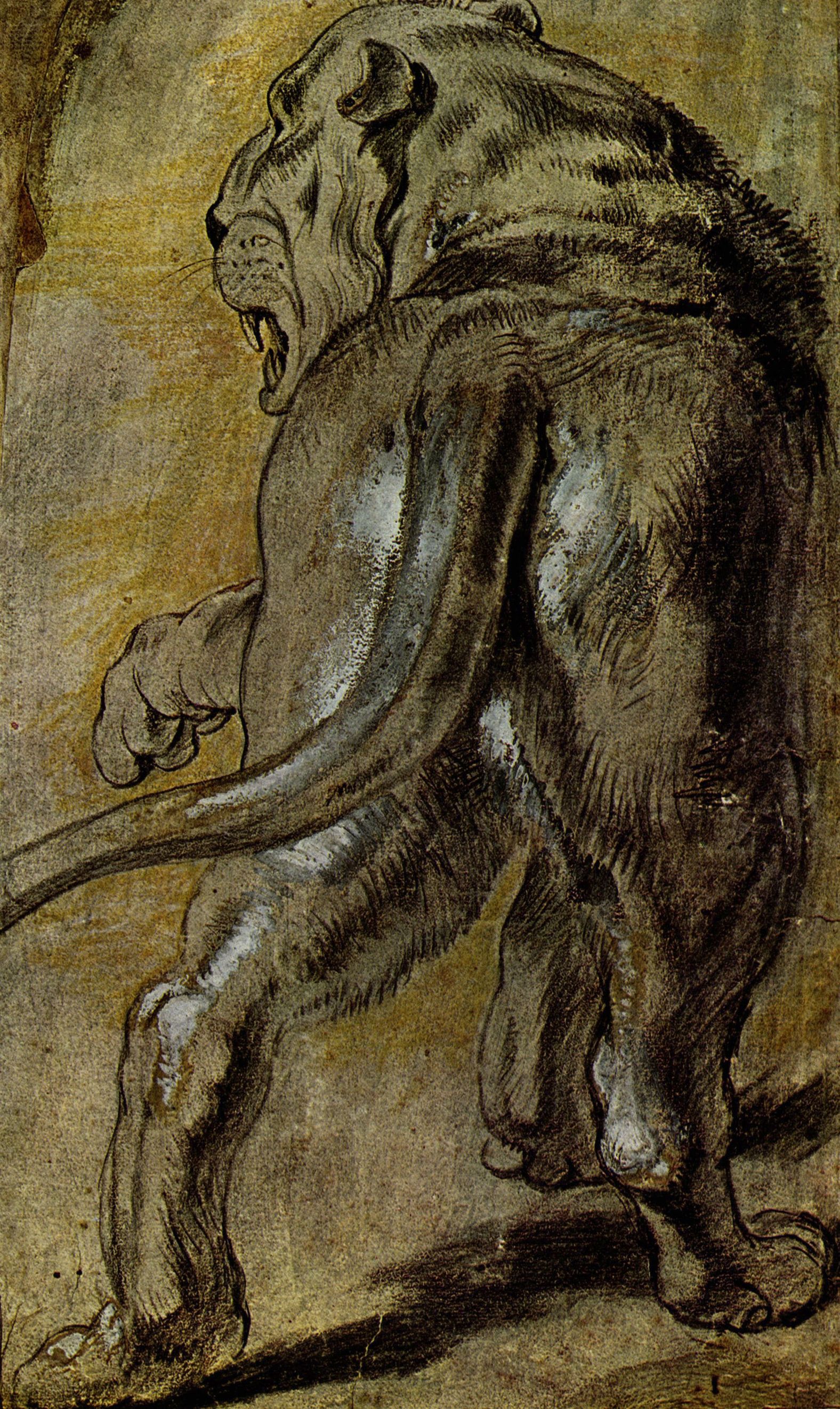 Peter Paul Rubens: Lwin