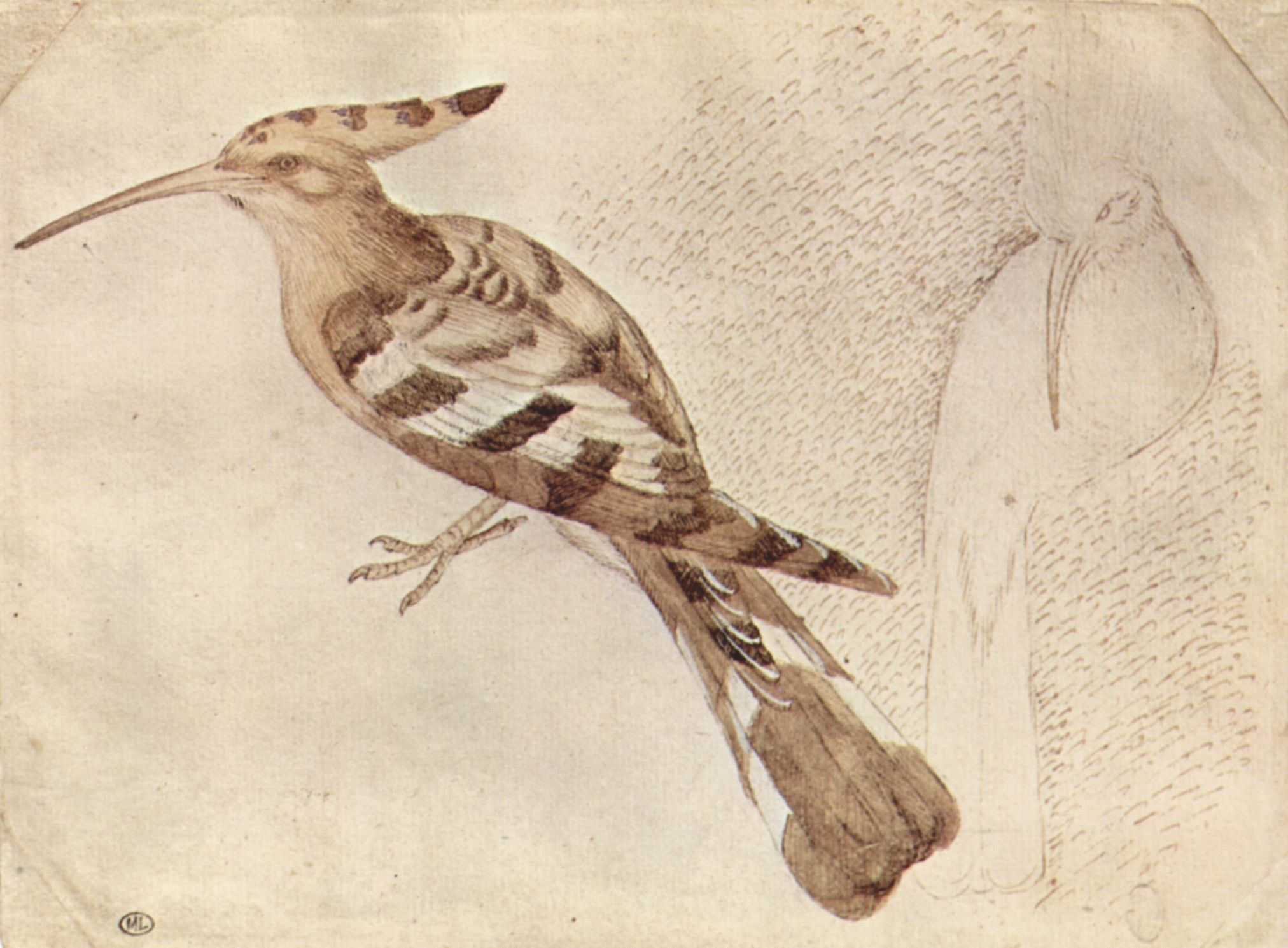 Pisanello: Vogel