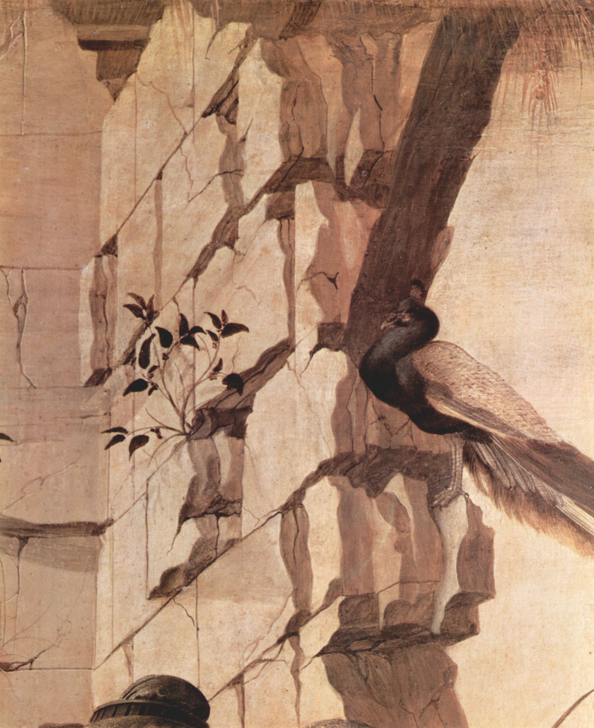 Sandro Botticelli: Zanobi-Altar, Anbetung der Heiligen Drei Knige, Detail: Pfau