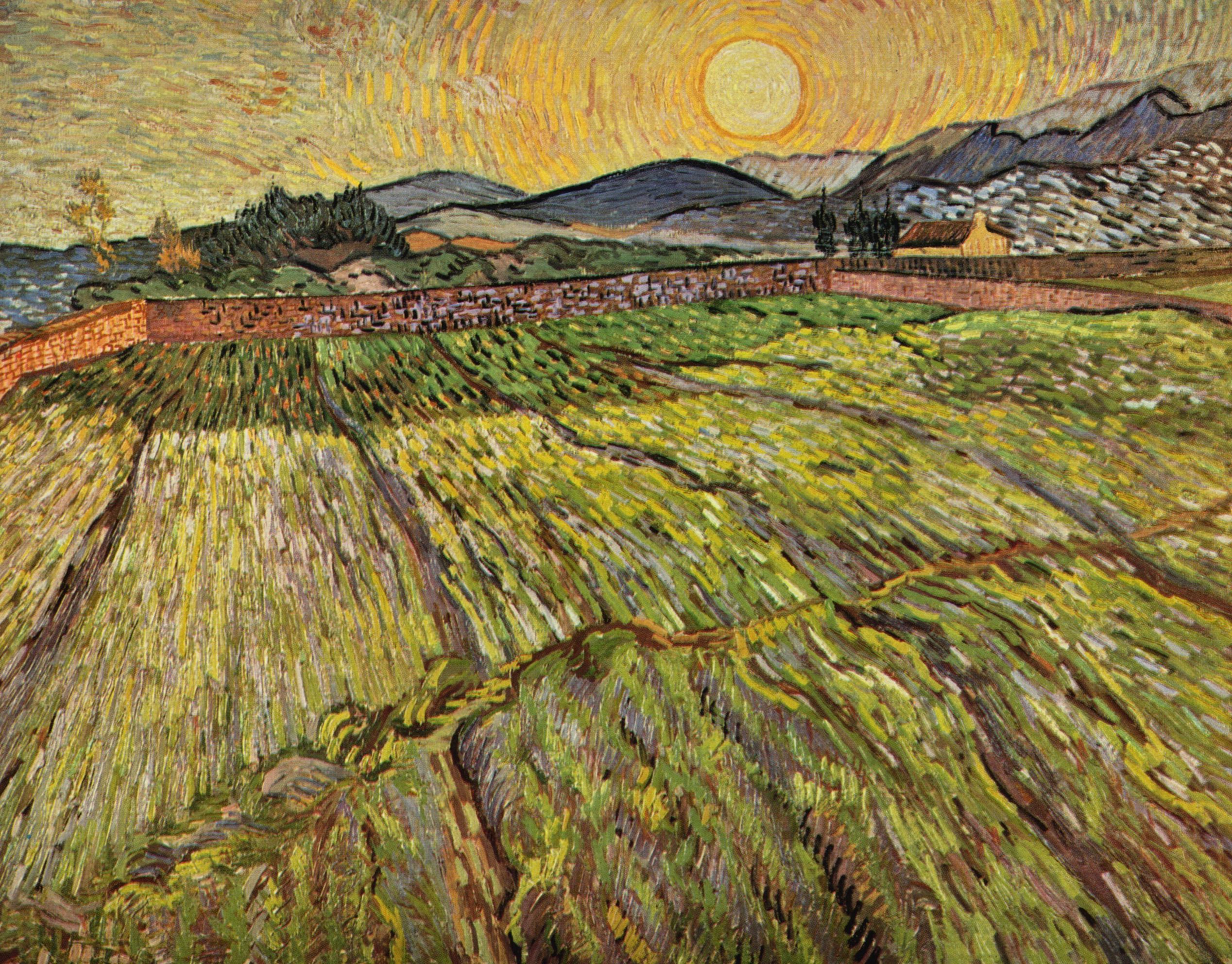 Vincent Willem van Gogh: Landschaft mit gepflgten Feldern