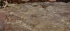 Ambrogio Lorenzetti: Freskenzyklus »Allegorien der guten und der schlechten Regierung« im Ratssaal der Neun, Palazzo Pubblico in Siena, Szene: Auswirkungen der guten Regierung auf dem Land