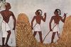 Maler der Grabkammer des Menna: Grabkammer des Menna, Ackerschreiber des Königs, Szene: Arbeiter auf der Tenne