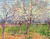Vincent Willem van Gogh: Blühender Obstgarten