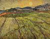 Vincent Willem van Gogh: Landschaft mit gepflügten Feldern